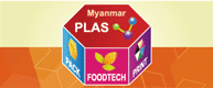 Myanmar PPPF 2015