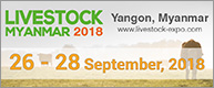 Livestock Myanmar
