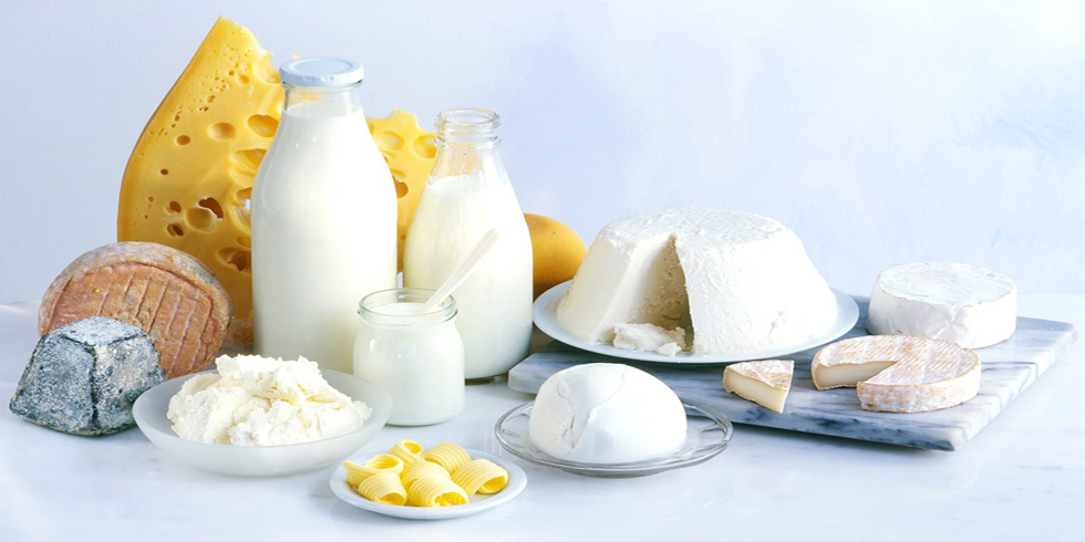 agri dairy products